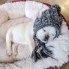 Haustierhut Mops Großer Hund Katze Hund Haustierbedarf Herbst und Winter Wolle Gestrickt Teddy