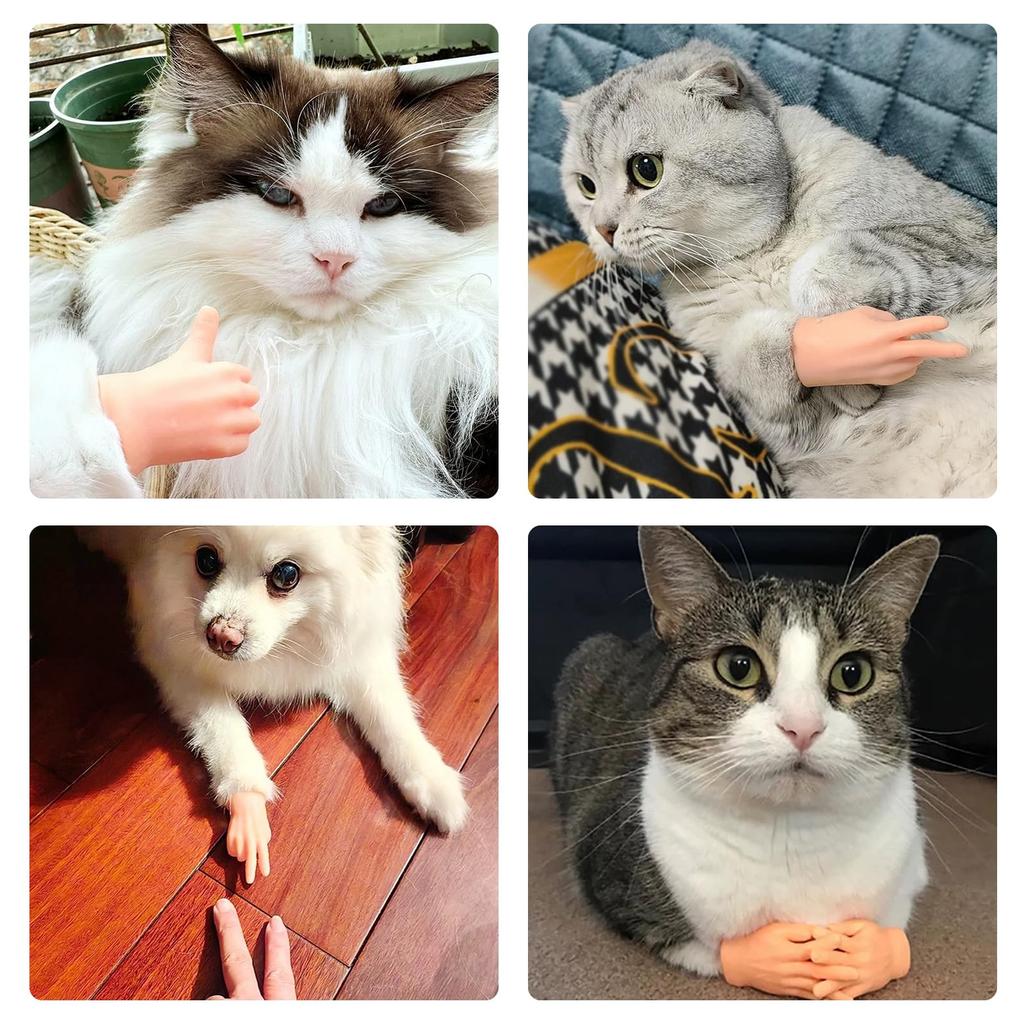 YANHUILAY Miniature Cat Finger Toys [Set of 10] Mini Cat Hands, Cat Teasers, Finger Puppets, Popular, Cute, Fun, Soft, Stretchy, Photography, Pet