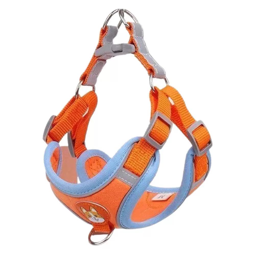 Hundeleine im Westen-Stil: Anti-Choke für kleine bis mittelgroße Rassen wie Französische Bulldoggen, Corgis und Teddyhunde