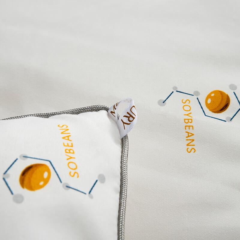 

Mercury Home Textiles DH Cloud Comfort Quilt