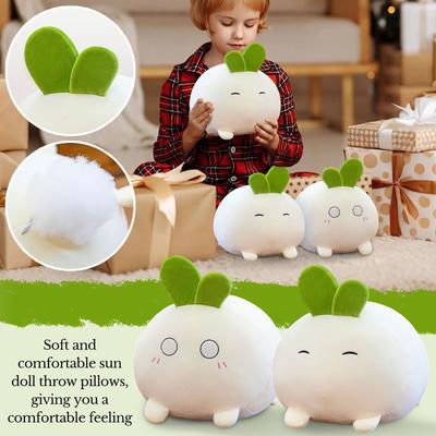 Plush Toys, Cute And Perfect Birthday Gifts For Friends And Classmates, Graduation Gifts