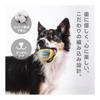 Petailo Dog Rope Toy 5 Piece Set Durable, Sturdy and Popular | Pulling, Chewing, Dental Toy | 100% Natural Cotton | Stress Relief and Lack of