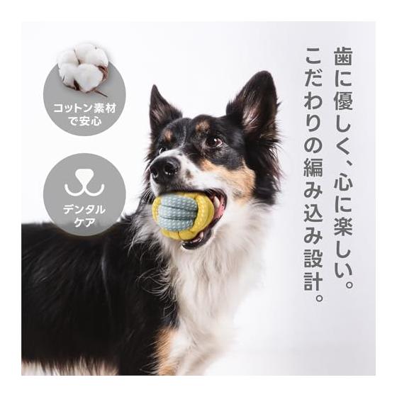 Petailo Dog Rope Toy 5 Piece Set Durable, Sturdy and Popular | Pulling, Chewing, Dental Toy | 100% Natural Cotton | Stress Relief and Lack of