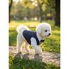 Polyester Haustierkleidung Teddy Hundekleidung Frühling Sommer Haustierjacke Katzenkleidung Weinrot Marineblau Schwarz Hundemantel mit einer Fliege