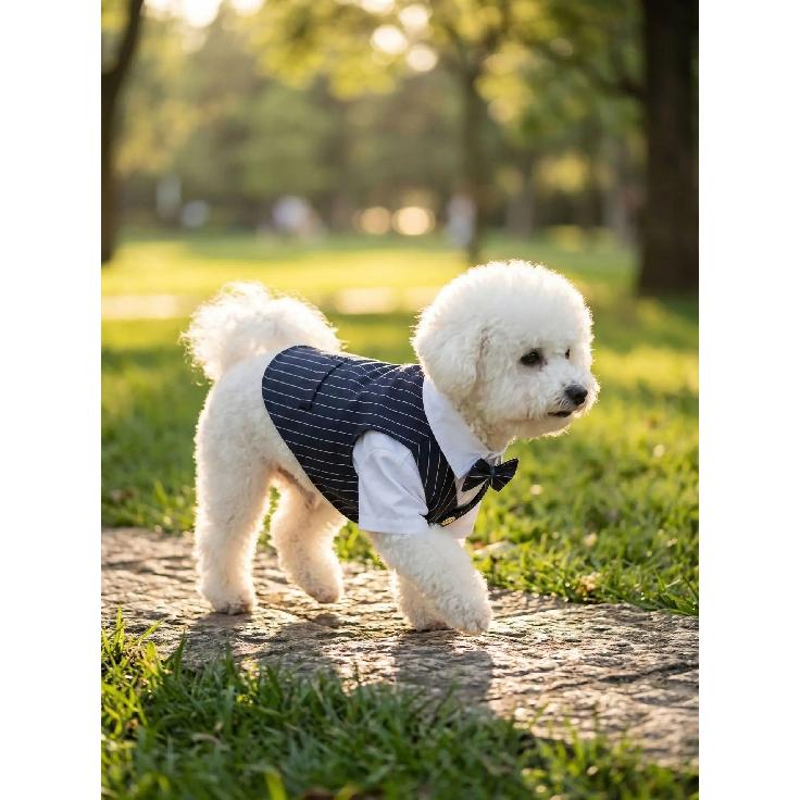 Polyester Haustierkleidung Teddy Hundekleidung Frühling Sommer Haustierjacke Katzenkleidung Weinrot Marineblau Schwarz Hundemantel mit einer Fliege