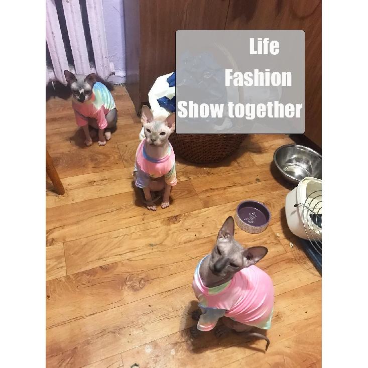 Sphinx Hairless Cat Clothes Deven Breathable T-shirt For Cats Stretch Fabric Clothing For Kitten Pet Shirt Coats For Puppy