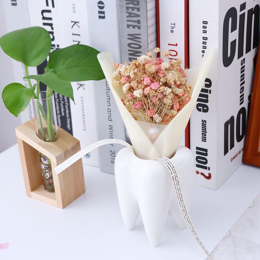 Cactus Plants Garden Home Decor Living Room Tabletop Ornaments Flower Pot Plant Pot Plant Container