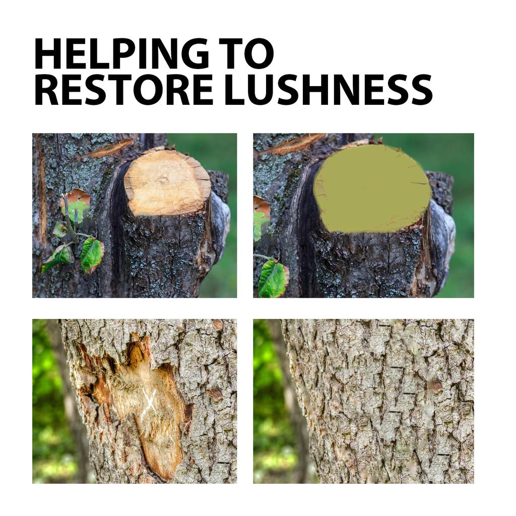 Wundversiegelung für Bäume, Wundschnittversiegelung, Baumpfropfzubehör, Wundversiegelung für Bäume, Heilpaste, Bonsai-Schnittpaste, 100 g