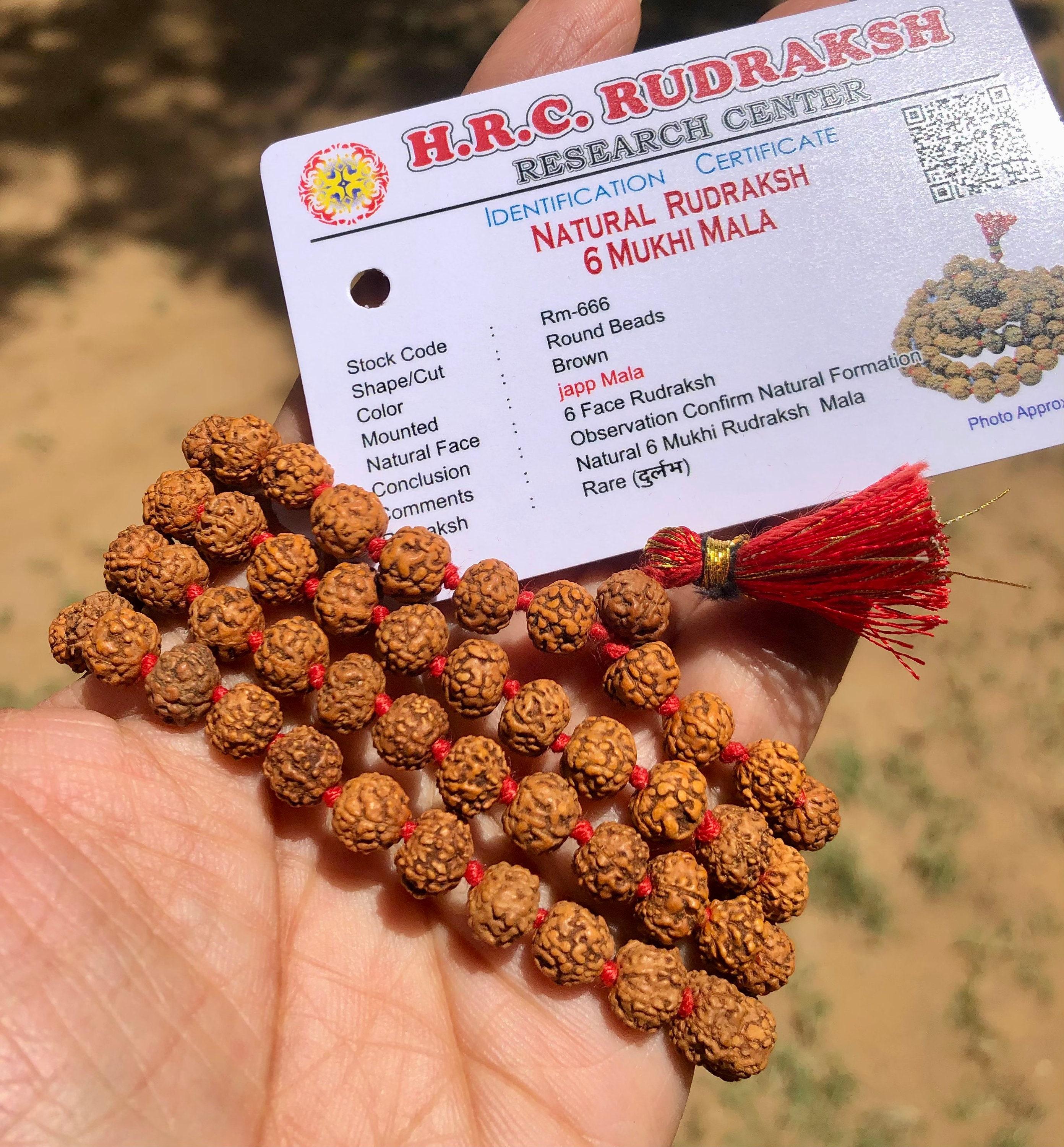 LAB CERTIFIED 108+1 Bead Indian Origin Rudraksha Mala 6 mukhi 6 faces (6mm long bead) Lord Shivas Rosary Jaap Mala Yoga Prayer Healing, Rare One Size