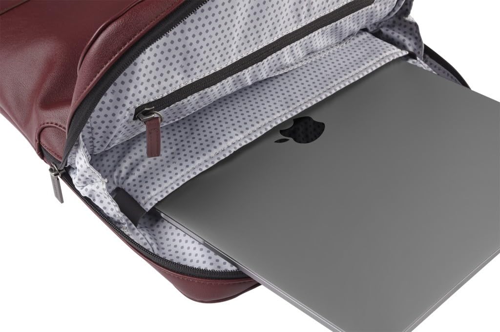 Moleskine Classic Vertical Business Backpack, 15-inch Laptop Storage, Device Bag, New Model, Men's, ET24C2DBVF18, Raspberry Red, One Size