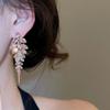Full Drill Tassel Earrings Round Rice Bead Dangle Earrings Light Luxury Stud Earrings  Bride