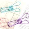 10pcs Stainless Steel Clothes Pins Heavy Duty Metal Towel Clips Clamps Windproof Steel Wire Clips Hanger Durable
