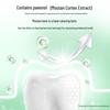 Dr. Dental Herbal Gum Care Toothpaste