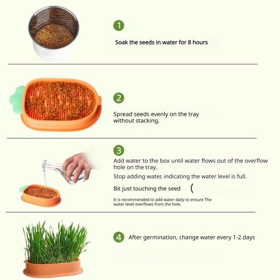 Hydroponic Cat Grass Growing Kit for Indoor Cats Soil Free Wheatgrass Planter with 5 Pack Seeds for Hairball Control