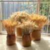50pcs DIY Craft Dry Wheat Spikes Natural Dried Flowers Dried Wheat Stalks  Christmas Decoration
