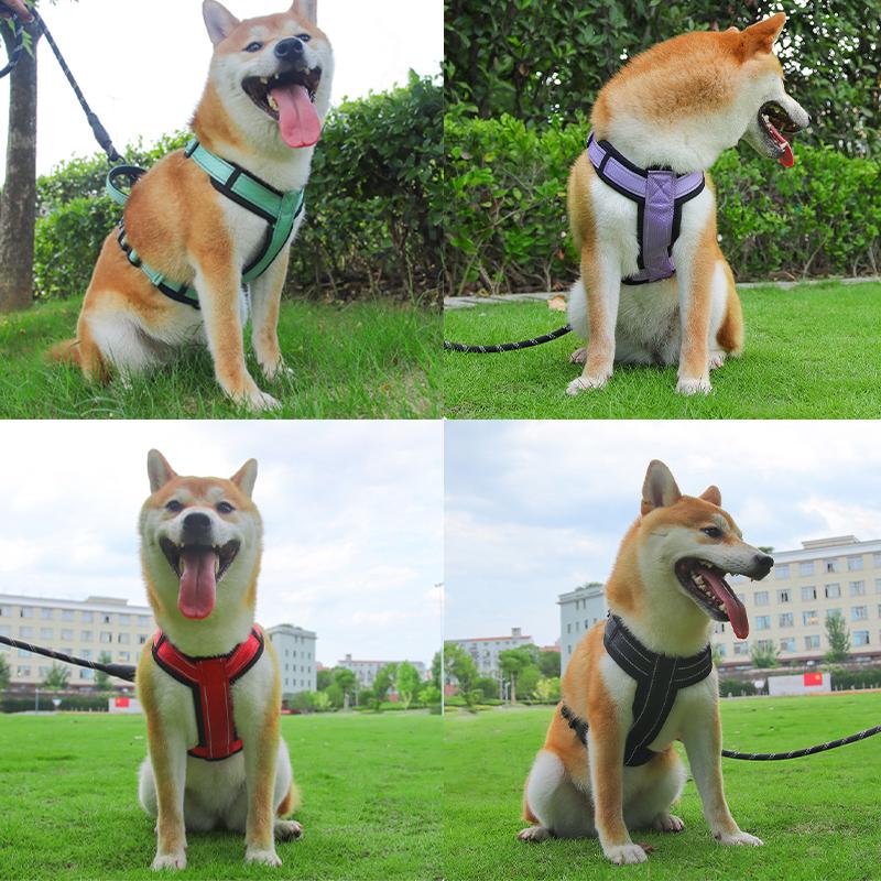 Huisdier Hondentuig met Handvat voor Middelgrote Grote Honden Franse Bulldog Vest Tuig Verstelbare Puppy Borstbanden Labrador Honden Halsband