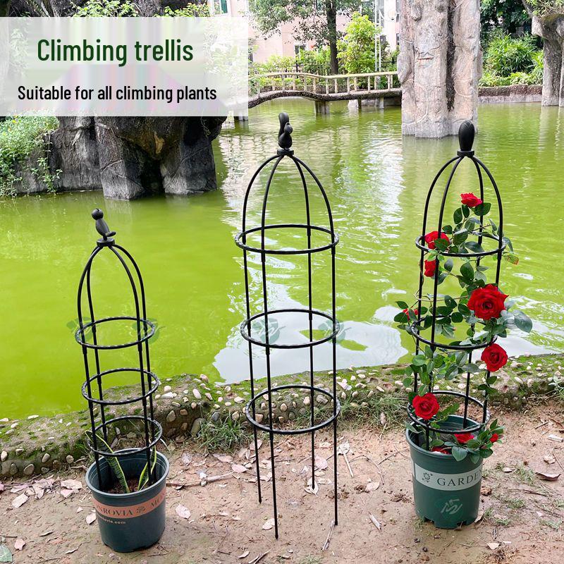 Clematis Rose Support Flower Stand with Climbing Frame for Indoor Plants