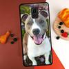 Pit Bull Lovely Dog Pitbull Case For Samsung Galaxy M52 M14 M54 M32 M13 M33 M53 M56 M36 M16 M31 M11 M12 M35 M55 M15 M06
