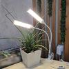 105LED Plant Growth Light 12V Fill Light Dimming Timing Full Spectrum Seedling, Succulent Green Plants Imitating Sunlight