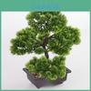 Artificial Pine Bonsai Tree With Pot For Office Decor And Indoor Greenery