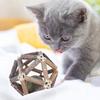 Игрушка Деревянный Шар с Кошачьей Мятой Натуральная Палочка Мататаби Шар-Клетка с Шариком Кошачьей Мяты Игрушка для Чистки Зубов и Коренных Зубов Котенка для Домашних Кошек