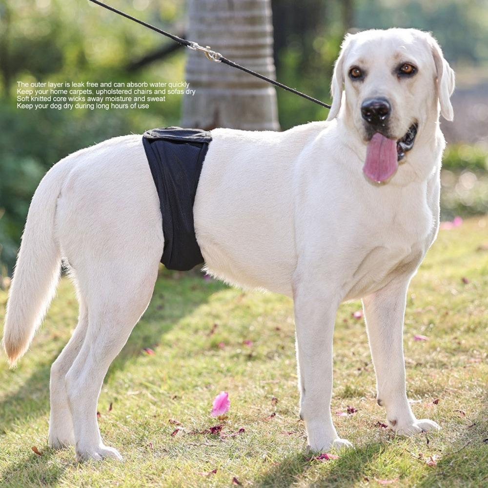 Breathable Weave Pet Sanitary Shorts Graphene Fabric Leakproof Pet Wrap Indoor Daily Wear