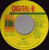 7inch Record JUNIOR TUCKER  Why NONE DIGITALB 1994 Jamaica Reggae Ska  Dub Used