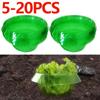5-20pcs Plants Snail Protection Rings Vegetable Green Planter Flower Pot  Garden Protects Tools Pest Control Trapper Repel Snail