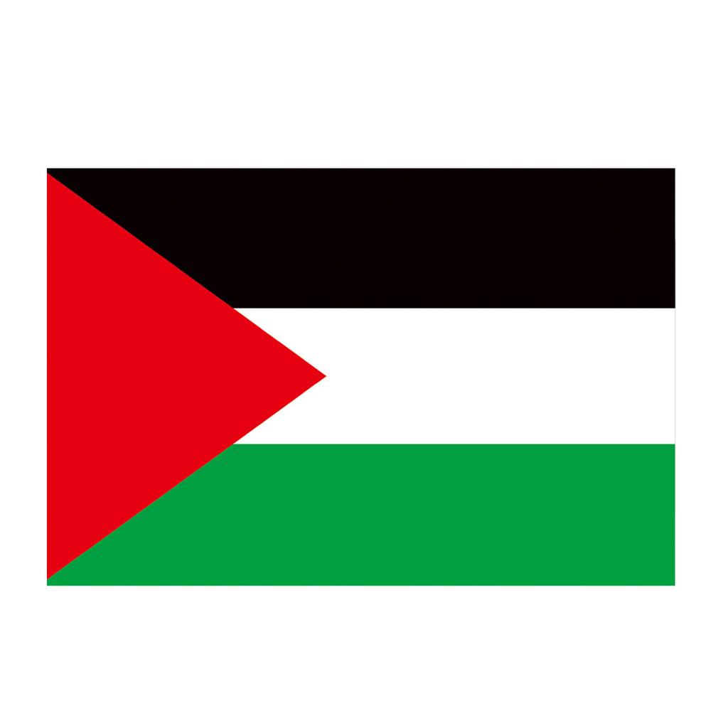 Palestine Flag with 2 Brass Grommets Vivid Color Polyester Double Stitched Colorfast Country Flag