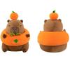 Adorable Capybara Plush Toy Soft Short Plush Animal Pillow For Home Decor And Gifts
