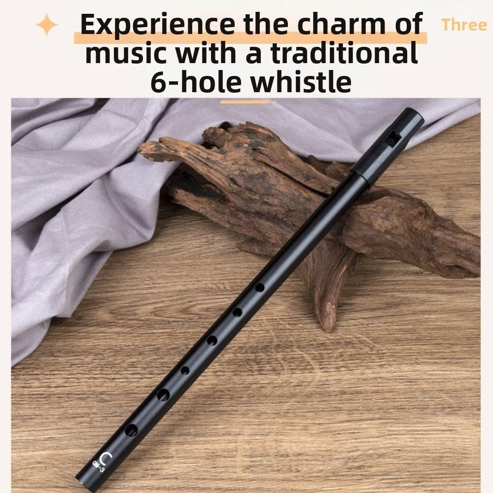 Rich Tone Irish Whistle Flute 6 Holes Irish Tin Whistle Musical Instruments  for Beginners