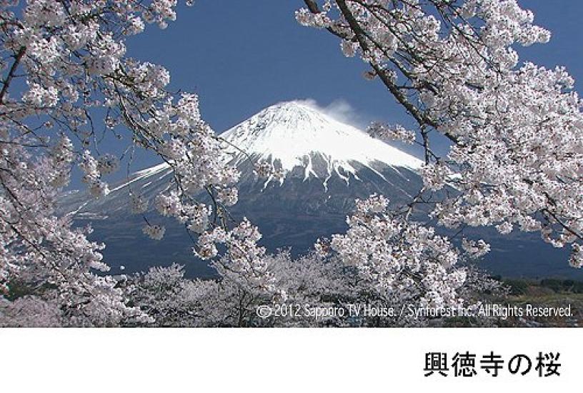 Symphony Forest 100 Views of Fuji Enjoy the of in HD HD The Best and Most Beautiful Moment Blu-ray Mt. "Best Mt. Fuji" Mt.Fuji - (Blu-ray Disc)