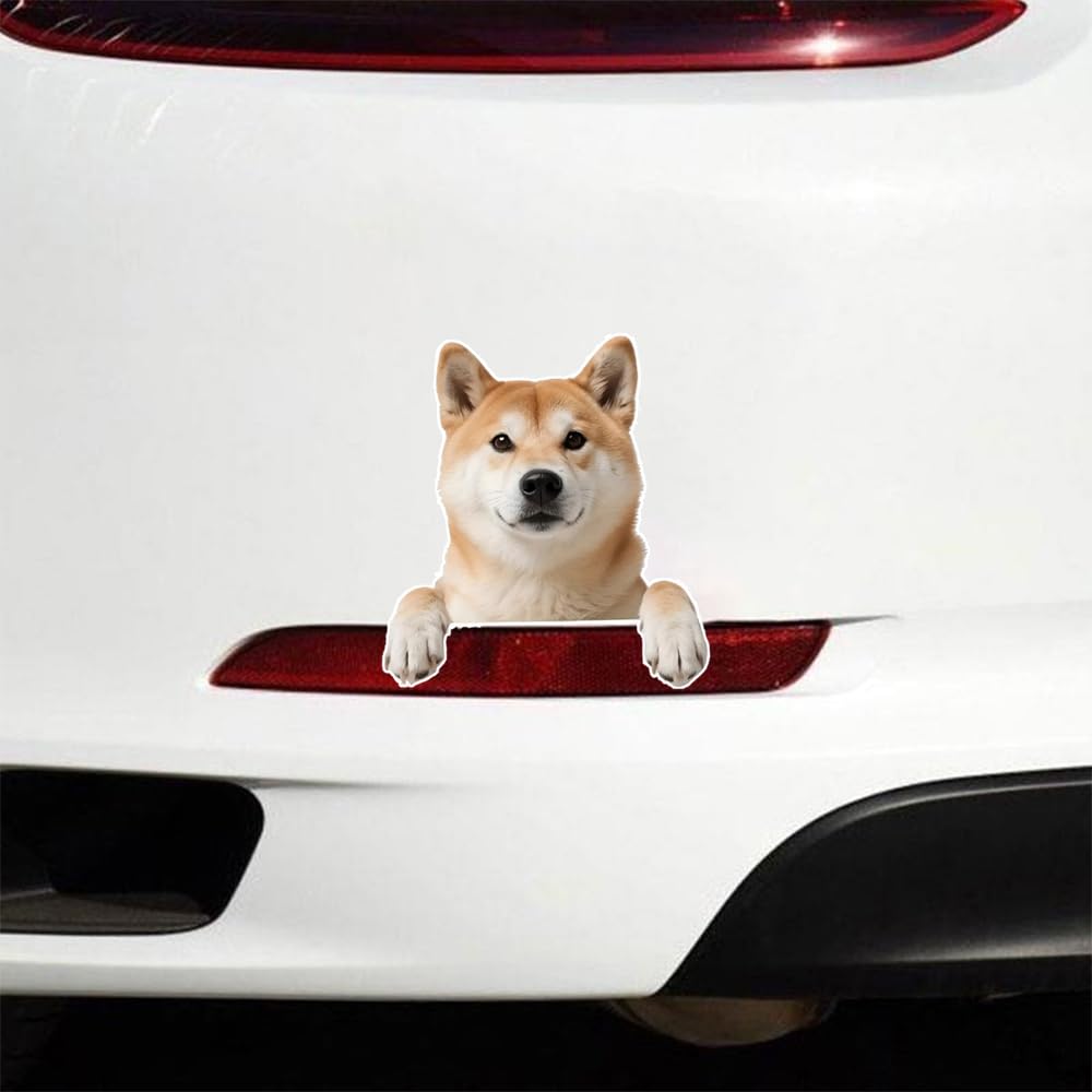 2 kusy 12x13cm Shiba Inu 2D plochá vinylová nálepka - Roztomilý Roztomilý Roztomilý pes