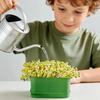 Hagepotter og plantekasser – Beholdere for frøplanter