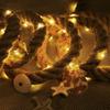 LED Fairy Lights Rope USB, LED Fairy Lights Decoration, Garden Lights Christmas Lighting, Indoor and Outdoor Christmas Decoration 3 Meter 30 Lights