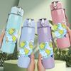 1PC Earth Globe Simple Line Art Print 750ml Color Plastic Sports Water Bottle Leakproof Flip Straw Lid Suitable for Sports Office Home Use