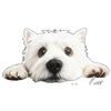 Oversized T Shirt Black Westie Dog Print Casual Wear for Women Everyday Outfit Streetwear Fashion Statement Top