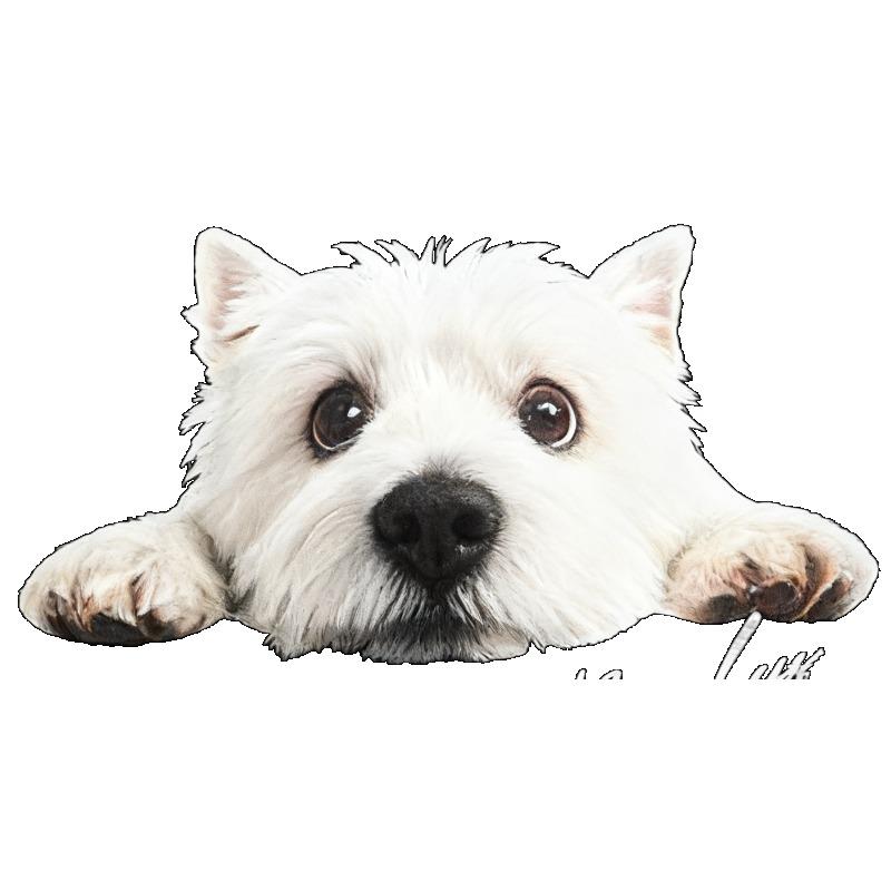 Oversized T Shirt Black Westie Dog Print Casual Wear for Women Everyday Outfit Streetwear Fashion Statement Top