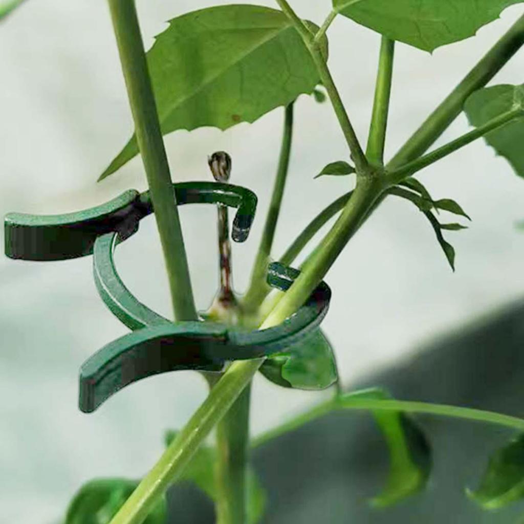 Horticulture Vine Butterfly Buckle Strap Clip