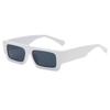 Fashionable Square Small Frame Sunglasses for Men and Women, Minimalist Street Photography Sunglasses