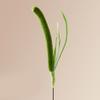 Pet Cat Teaser Rod for Stimulating Feline Curiosity Wand with Foxtail Setaria Grass for Active Pets and Fun Exercise