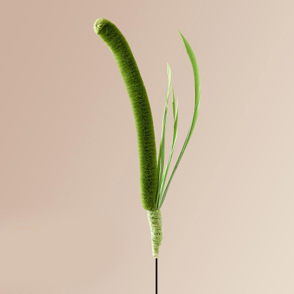 Pet Cat Teaser Rod for Stimulating Feline Curiosity Wand with Foxtail Setaria Grass for Active Pets and Fun Exercise