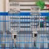 Bird Cage Water Bottle Drinker with Clips Waterer for Finch ,