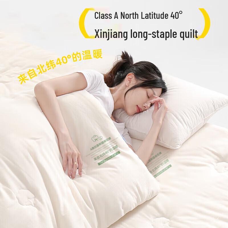 Nanjiren Antibacterial Spring/Autumn Polyester Duvet