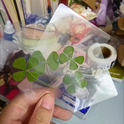 5pcs Lucky Clover Natural Original Grass Transparent Bookmarks -Simple Wish Style Transparent Cards,Perfect Gift, Christmas Gift
