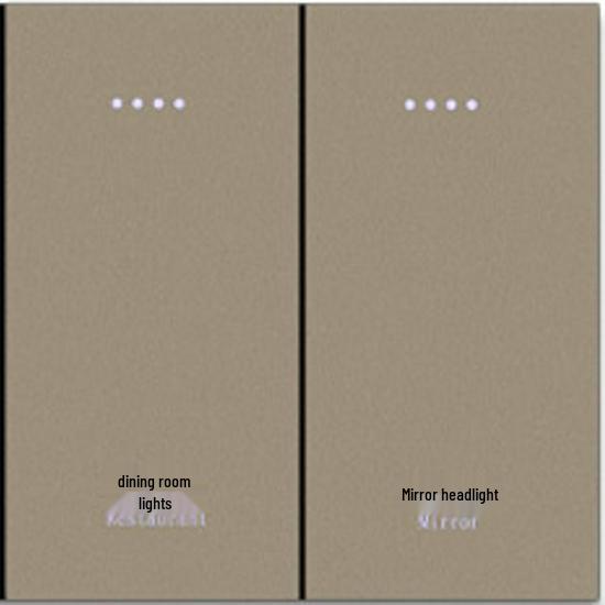 Smart Zigbee Tuya Double Switch with Alexa Voice Control, Aluminum Panel, and 86 Back Box Compatibility