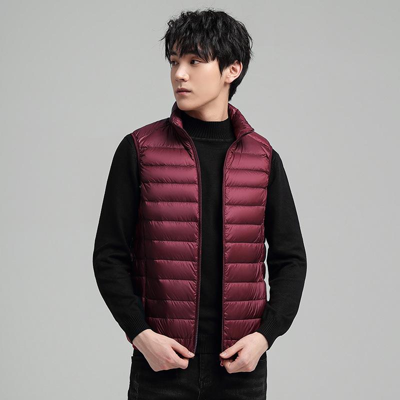 Autumn and Winter New Down Jacket Men's Vest Fashion Stand-up Collar Vest Light Down Vest