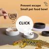 Reptilien Futternapf Ausbruchsicher Keramik Futter Schale Schwarz Weiß Reptilien Wassernapf Für Einsiedlerkrebs Gecko Chamäleon Kornnatter