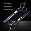 Hairdressing Scissors: Straight, Serrated, Thinning, Choppy - Barber Shop Styling Tools