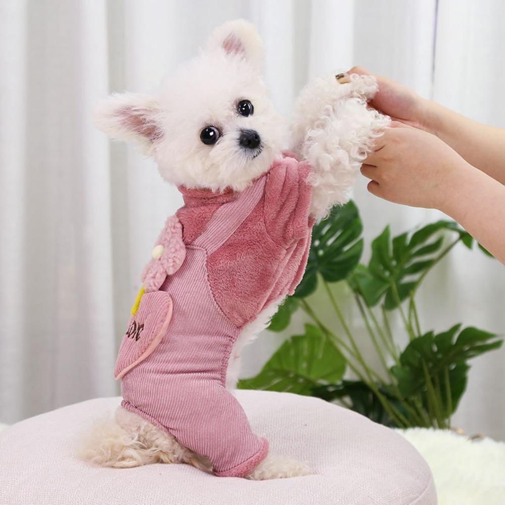 Autumn and winter teddy small and medium-sized dog dog Bigbear pet cat thickened cat warm four-legged dog clothing supplies